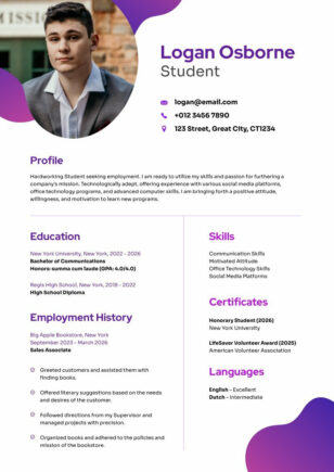 Modern Student Resume