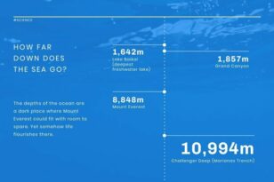 Sea Depth News Visualization Template